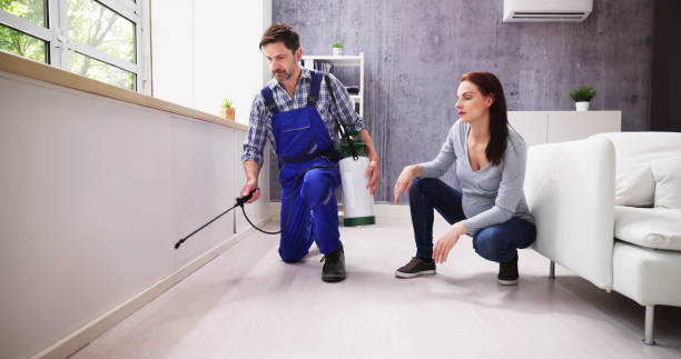 Emergency Pest Control Services in Tanglewilde, WA